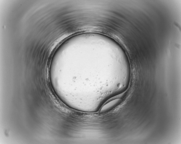 X0000100201125200806271636