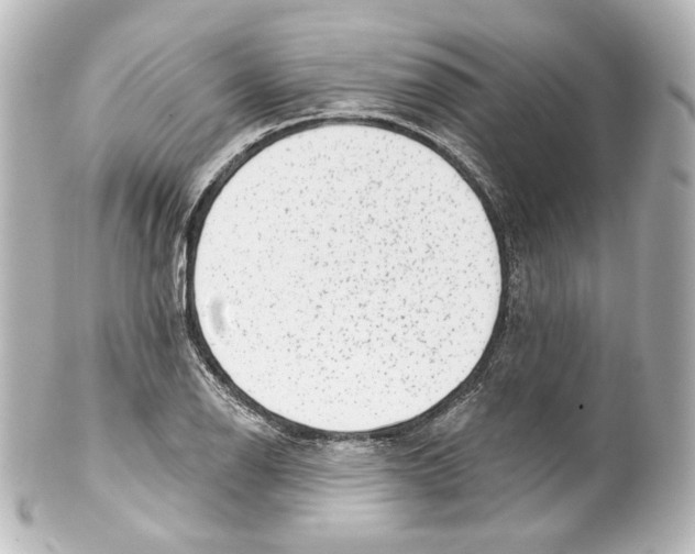 X0000100201126200806271636