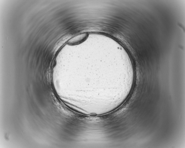 X0000100201129200806271636