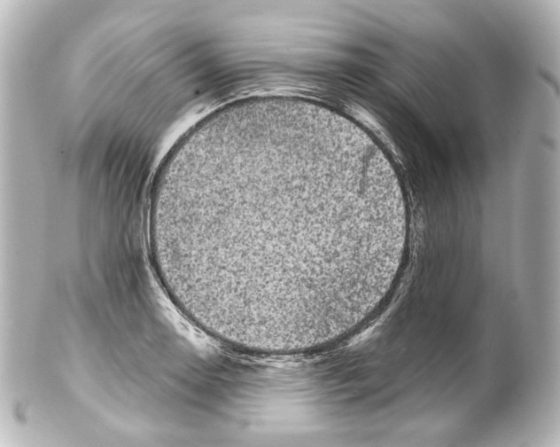 X0000100201130200806271636