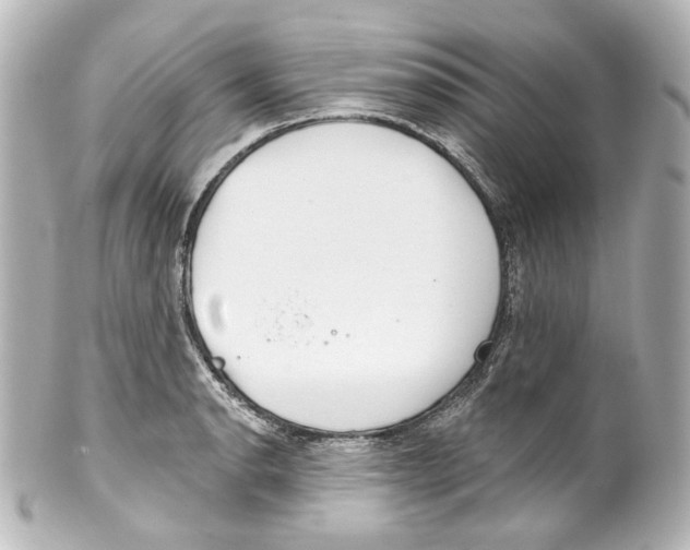 X0000100201134200806271636