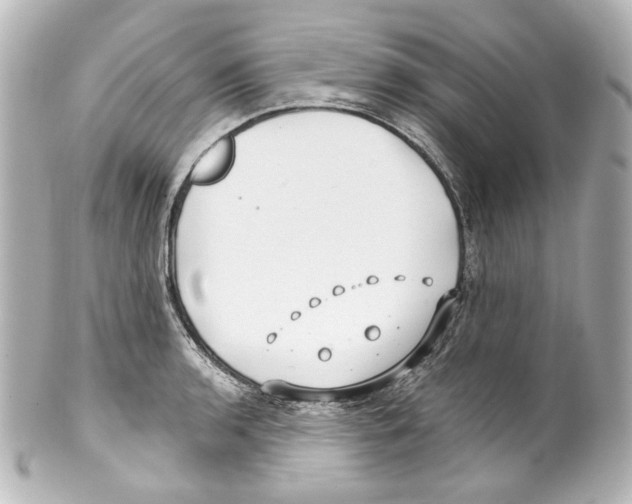 X0000100201136200806271636