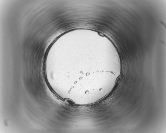 X0000100201139200806271636