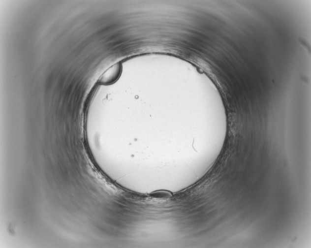 X0000100201140200806271636