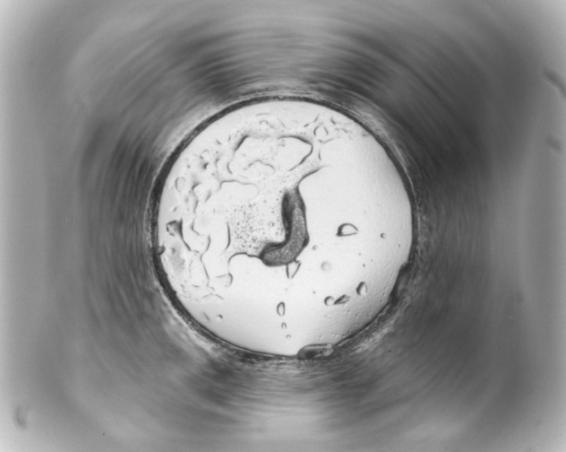 X0000100201141200806271636