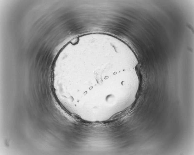 X0000100201142200806271636