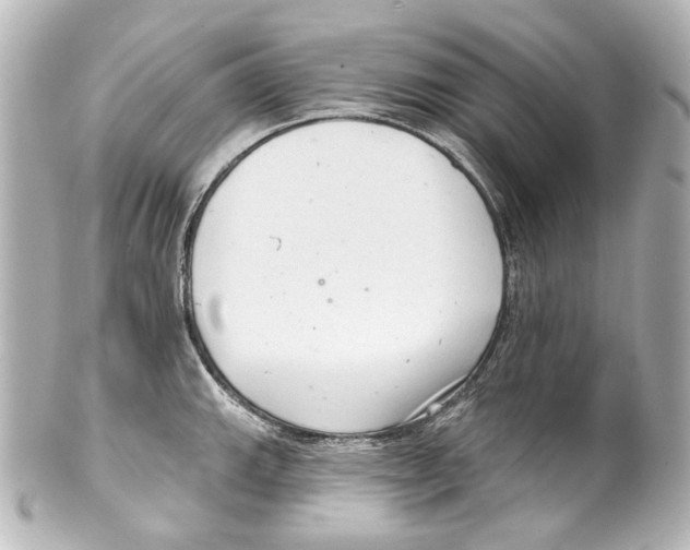 X0000100201143200806271636