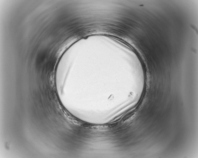 X0000100201145200806271636