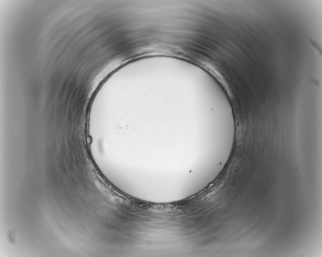 X0000100201146200806271636