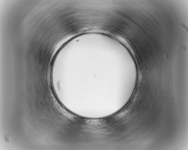 X0000100201149200806271636