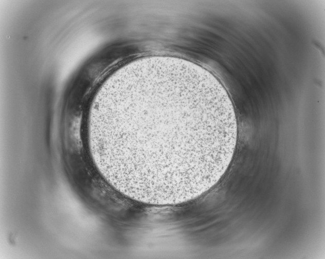 X0000100201150200806271636