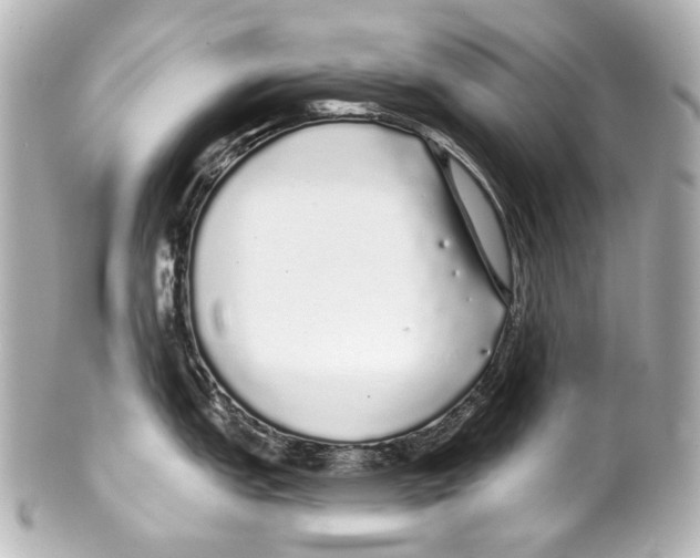 X0000100201151200806271636