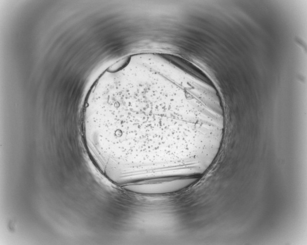 X0000100201152200806271636