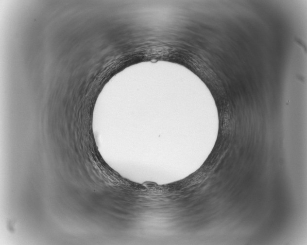 X0000100201153200806271635