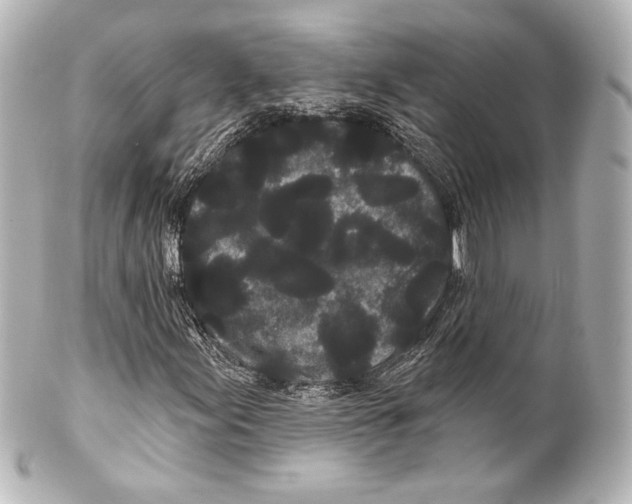 X0000100201155200806271635