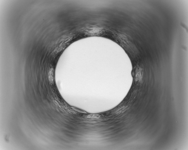 X0000100201156200806271635