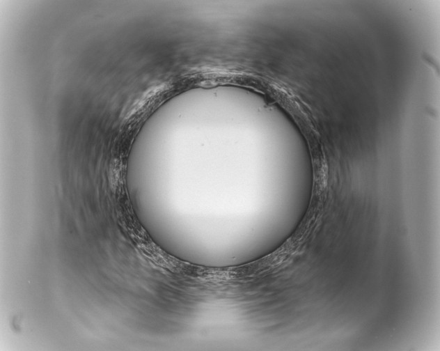 X0000100201157200806271635