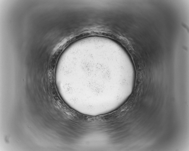 X0000100201159200806271635