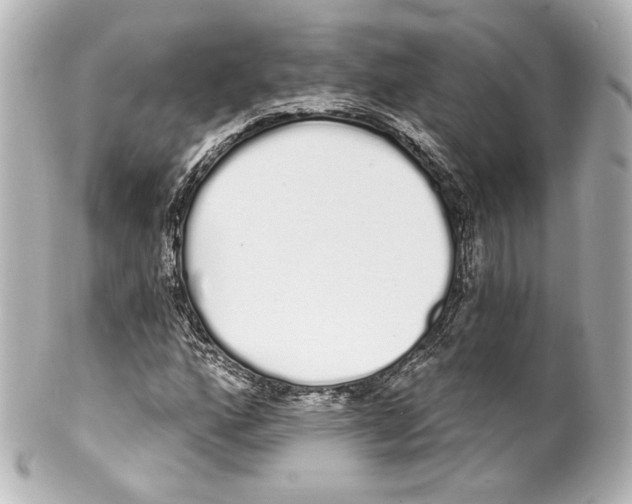 X0000100201160200806271635