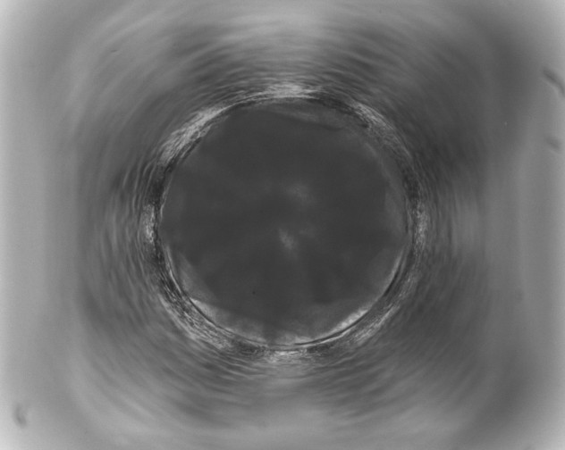 X0000100201161200806271635