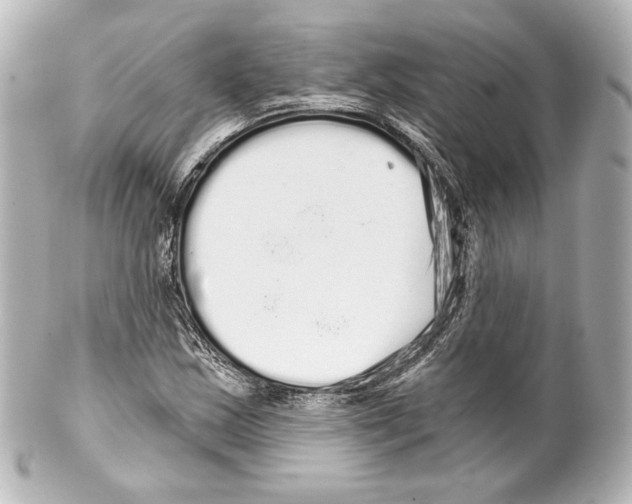 X0000100201163200806271635