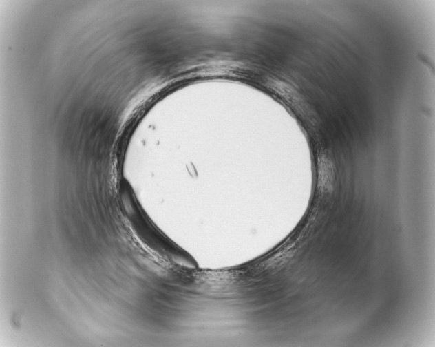 X0000100201164200806271635