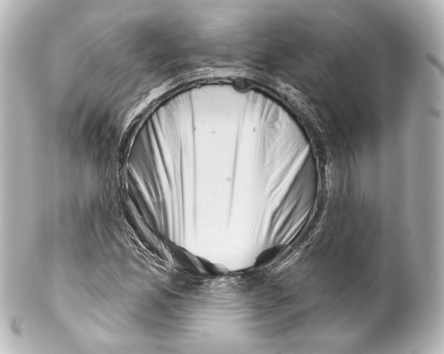 X0000100201165200806271635