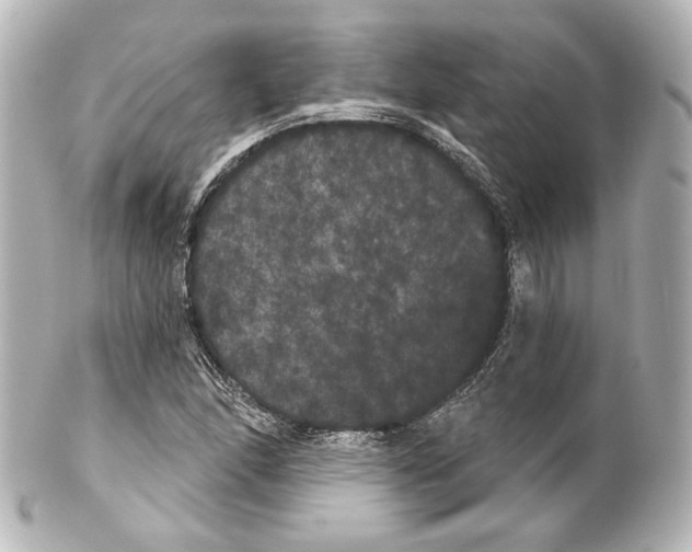 X0000100201166200806271635