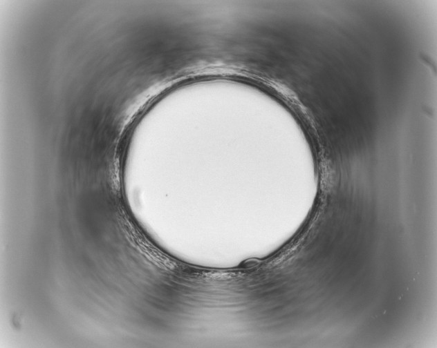 X0000100201167200806271635