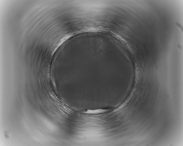 X0000100201170200806271635