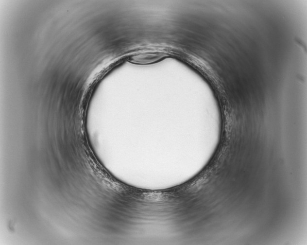 X0000100201172200806271635