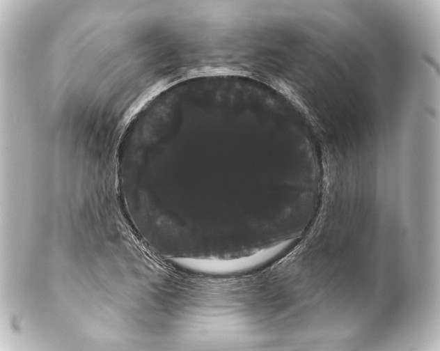 X0000100201173200806271635