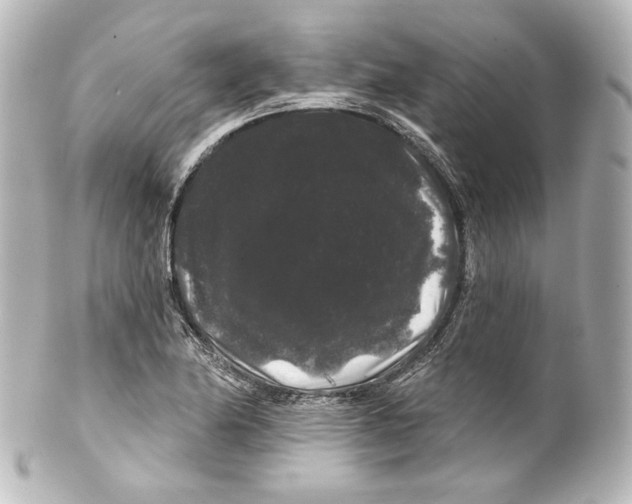 X0000100201174200806271635