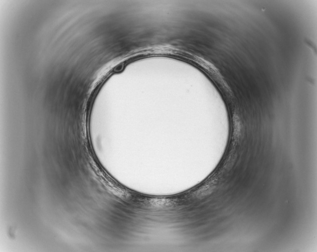 X0000100201176200806271635