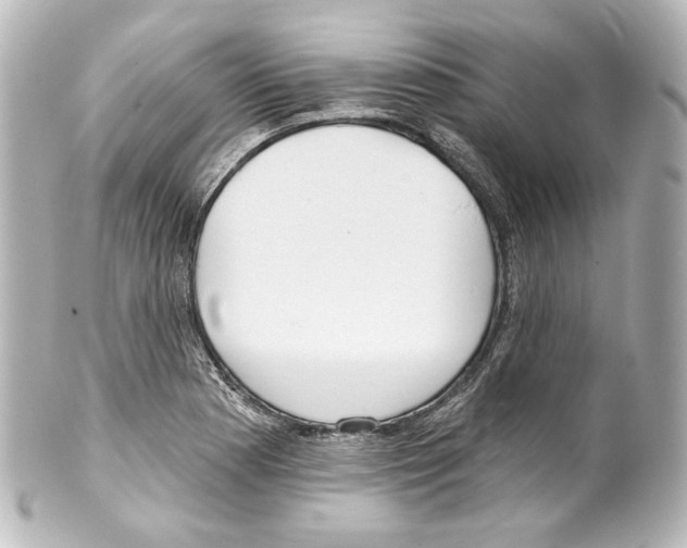 X0000100201177200806271635