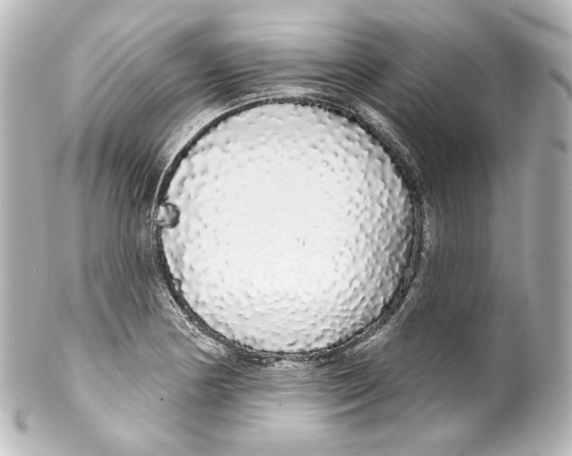 X0000100201178200806271635