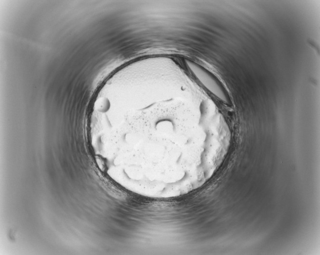 X0000100201179200806271635