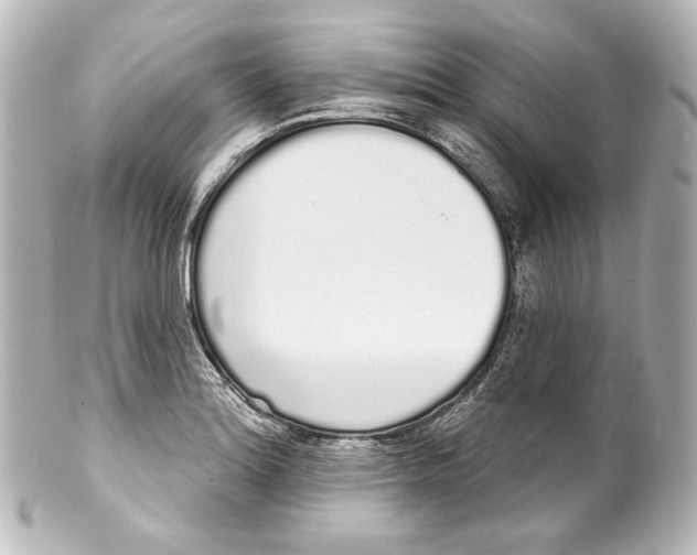 X0000100201180200806271635