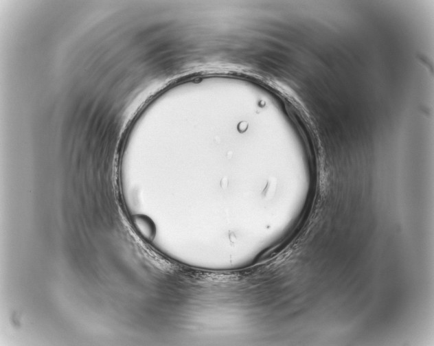 X0000100201183200806271635