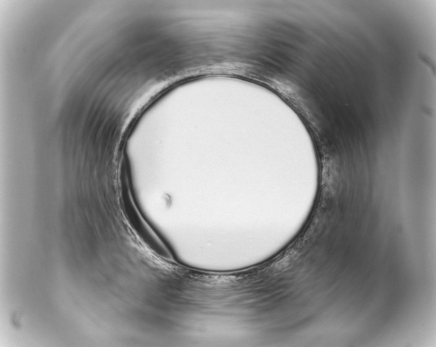 X0000100201184200806271635