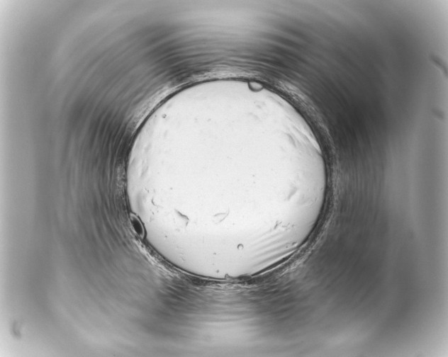 X0000100201185200806271635