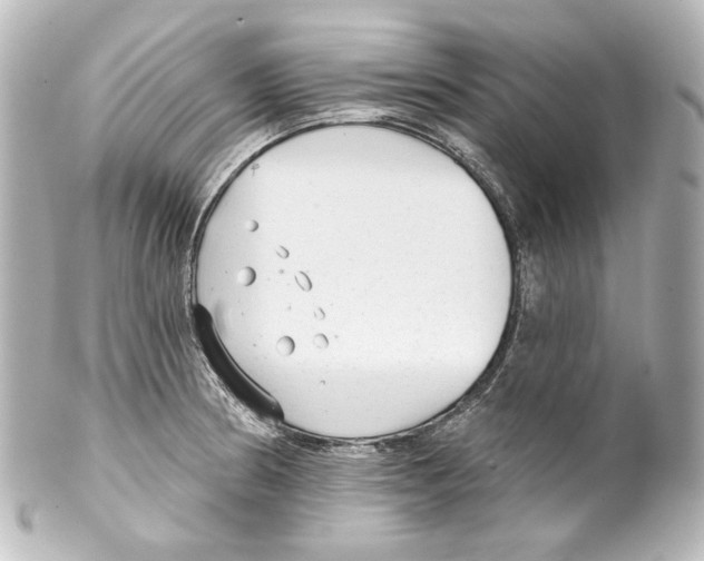 X0000100201186200806271635