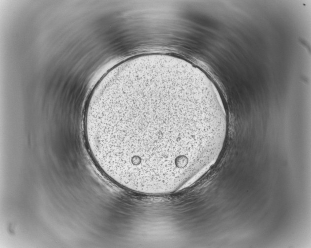 X0000100201187200806271635