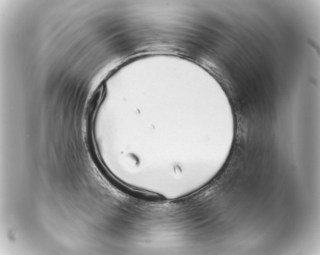 X0000100201188200806271635