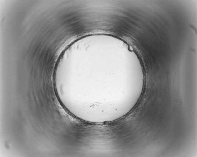 X0000100201189200806271635