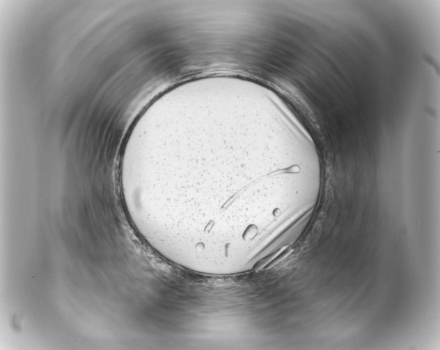 X0000100201190200806271635