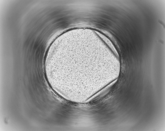 X0000100201191200806271635