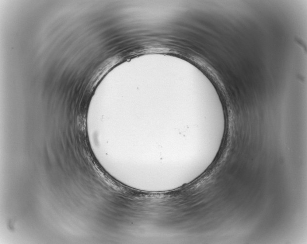 X0000100201193200806271635