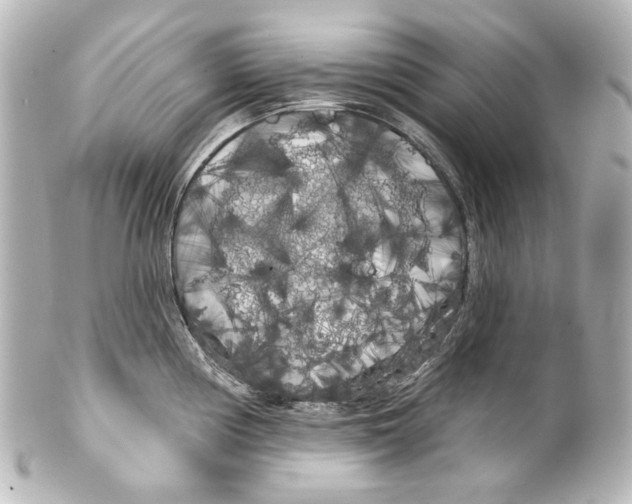 X0000100201194200806271635