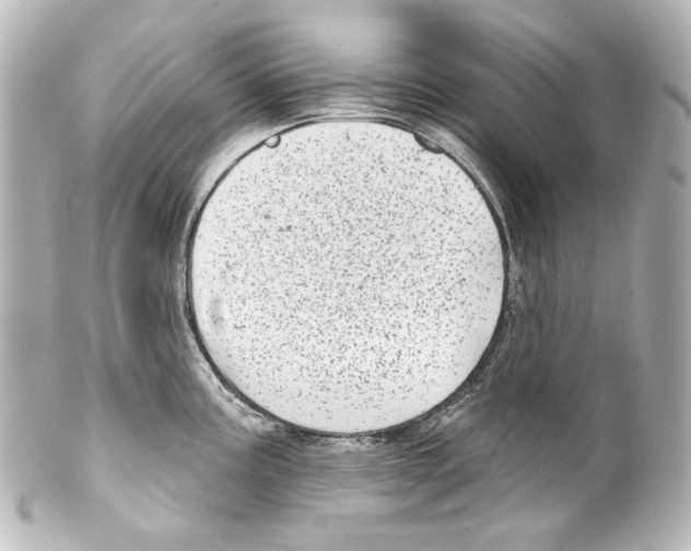 X0000100201195200806271635